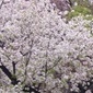 4強に名乗りをあげるのは！？