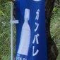 山内大空が5得点で大会得点王