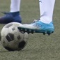 都立南葛飾、9発で2年連続ブロック決勝へ　