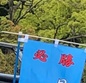 都立国分寺、日本学園、都立東大和南、目白研心などが1次予選突破