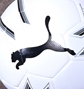 高校サッカー選手権出場校一覧
