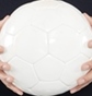 第99回全国高校サッカー選手権、都道府県代表一覧及び決定スケジュール