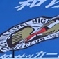 市立船橋、流通経済大柏、日体大柏、習志野などが8強進出