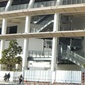きょう選手権ファイナリストが決定　尚志vs神村学園、鹿島学園vs流通経済大柏