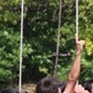 今週末も各地で熱戦！米子北が12連覇を狙う鳥取予選は30日に決勝、山形決勝は31日に開催