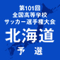 北海と札幌光星が決勝進出