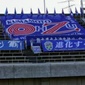 大津、ルーテル学院、熊本国府、熊本学園大付などは3回戦からの登場