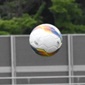 新たに6校が関東大会出場権を獲得