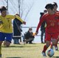 西武台、神村学園、星稜、帝京長岡が準決勝へ