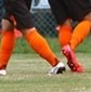 プリンスリーグ北海道 プレーオフの組み合わせが決定　12チームが熱戦