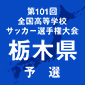 矢板中央、佐野日大、宇都宮短大付、国学院栃木が4強入り