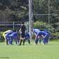 選手権東京1次予選はいよいよブロック決勝へ