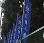 日体大柏、習志野、八千代などがブロック決勝を制す