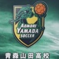 青森山田、2-1で花巻東を下し東北大会優勝