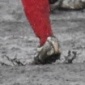 インハイ東京予選南支部の都立杉並対杉並学院の試合が途中中断となり後日に延期の見通し