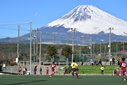 裏選手権決勝T組み合わせが決定！帝京vs東海大仰星、静岡学園vs習志野、市立船橋vs帝京長岡...