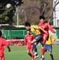 日大藤沢と関東一が白星　柏スプリングカップ初日が終了