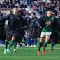 選手権決勝は青森山田vs近江に決定