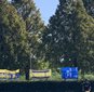 きょう3回戦進出校が出そろう　神奈川予選は2回戦最終日が開催