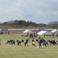 第37回デンソーカップチャレンジサッカーは第3節がきょう開催