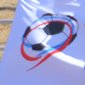 デンソーカップチャレンジサッカーの最終日があす開催