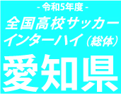 東邦、名経大高蔵を下し8大会ぶりの全国へ