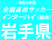遠野、3-1で専大北上を撃破！5大会ぶりの夏の全国へ