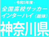 関東予選Vの湘南工大附は日大高に敗れる！桐光学園、桐蔭学園、日大藤沢などが準々決勝へ