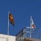 全国高校サッカーインターハイ（総体）大阪予選日程