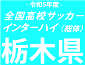 矢板中央、佐野日大を2-0で撃破！5大会連続12回目の全国へ