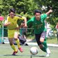 大会3連覇を目指す日体大柏、習志野、八千代などが初戦突破　前回準Vの専大松戸は千葉明徳に敗れる