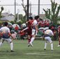 日体大柏、習志野、千葉明徳、八千代が準決勝へ