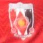 10点が乱れ飛んだ乱打戦！浦和ユース、プレミア復帰王手　徳島ユースはあと一歩及ばず