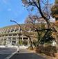 互いの良さがぶつかり合う展開が予想　3800校の頂点を決める決勝「流通経済大柏vs前橋育英」
