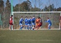 東北新人選手権大会歴代優勝校一覧