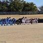 静岡県ヤングサッカーフェスティバルが5日に開催