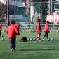 きょう千葉新人戦県大会の大会2日目　暁星国際、日体大柏、八千代、習志野などが登場