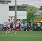 日体大柏、検見川、習志野、東京学館が千葉4強