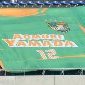 【選手権チームデータ＆登録メンバー】青森山田(青森)