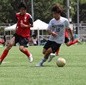 大森学園、創価、東京農大一などが初戦突破