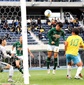 あす青森決勝！青森山田が28連覇をかけて野辺地西と激突