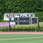 インハイ東京代表2校がきょう決定！