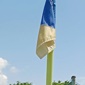 きょう山梨でも関東大会出場校が決定