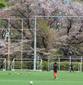 関東大会東京予選はきょう1回戦2日目