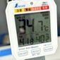 35℃に迫る暑さのなか、選手権東京予選大会2日目がスタート