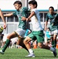首位の鹿島ユースが4発快勝　3位の流通経済大柏は前橋育英に完封負け　第15節2日目
