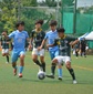 新たに20校が都大会出場権を獲得　残りは2枠