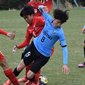 【フォトギャラリー(57枚)】川崎フロンターレU-18 vs 神村学園