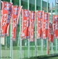 市立浦和、立教新座、大宮南などが次戦へ　埼玉支部予選4日目