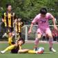 関東大会神奈川代表が3日に決定
